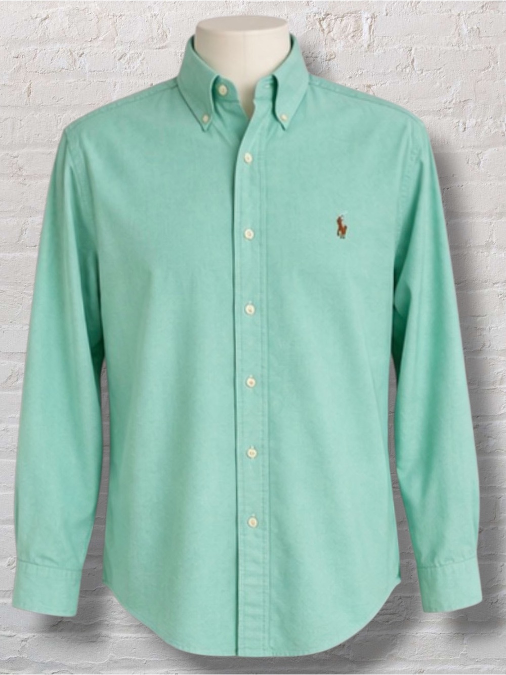 Ralph Lauren Blake Shirt Men’s M Mint Green Oxford Cotton Button Down Pony